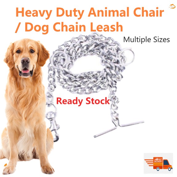 Metal chain 2024 dog harness