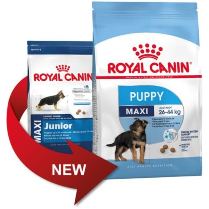 Royal canin best sale puppy junior maxi