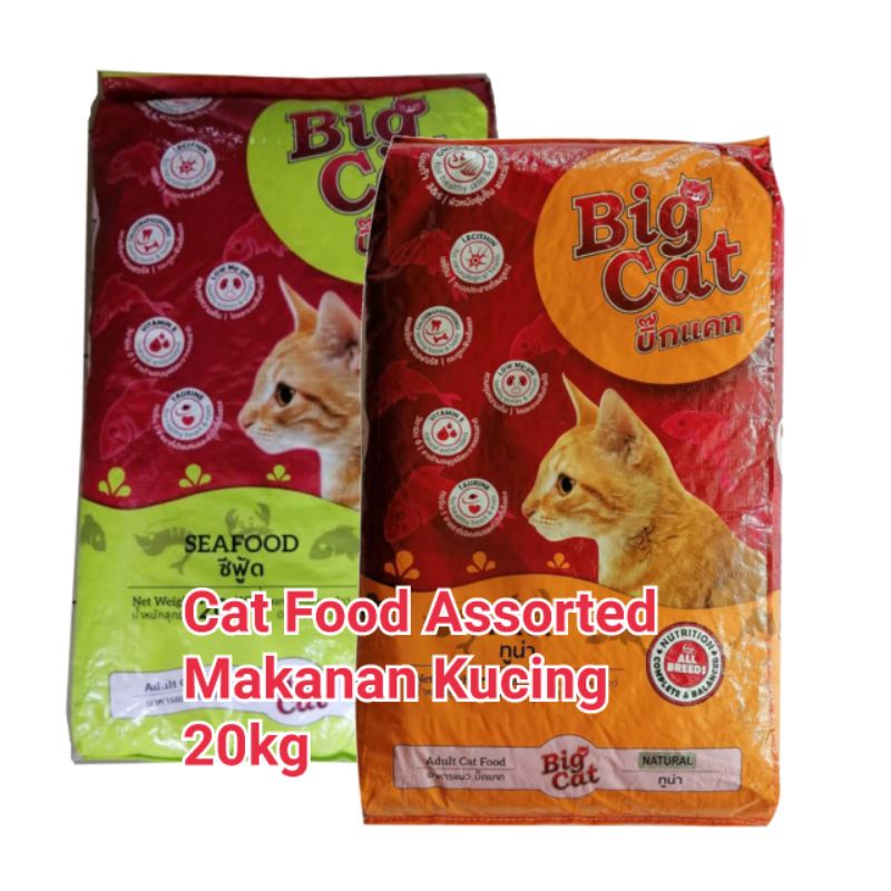 Big y 2024 cat food