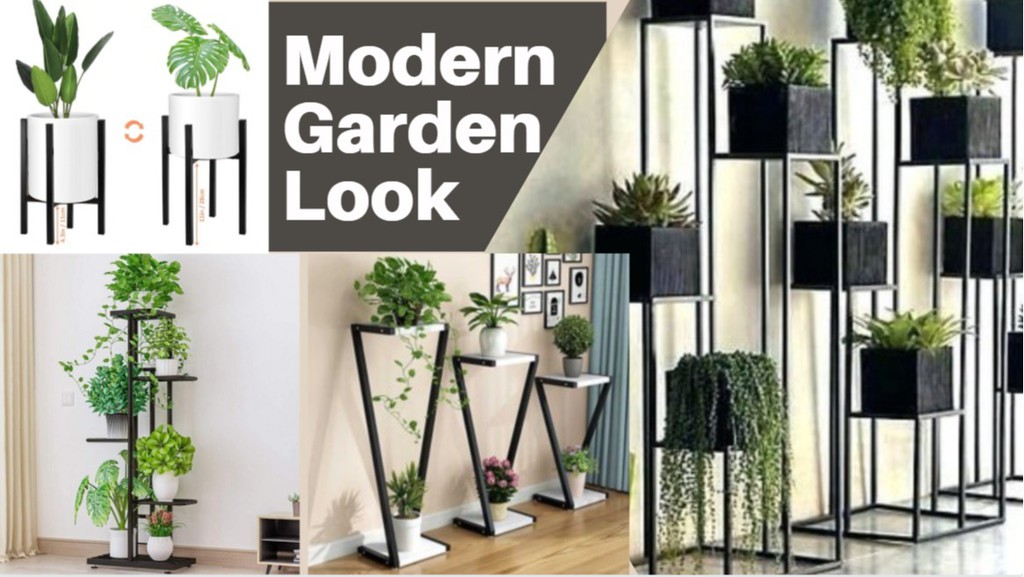 Ladyfingers Venture, Online Shop Shopee Malaysia