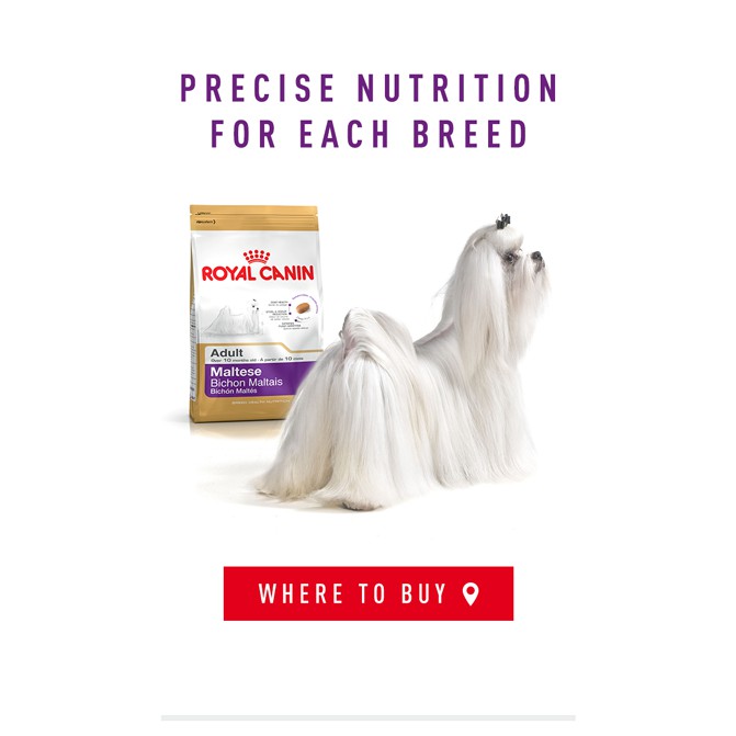 REPACK ROYAL CANIN MALTESE DOG FOOD 1KG Shopee Malaysia