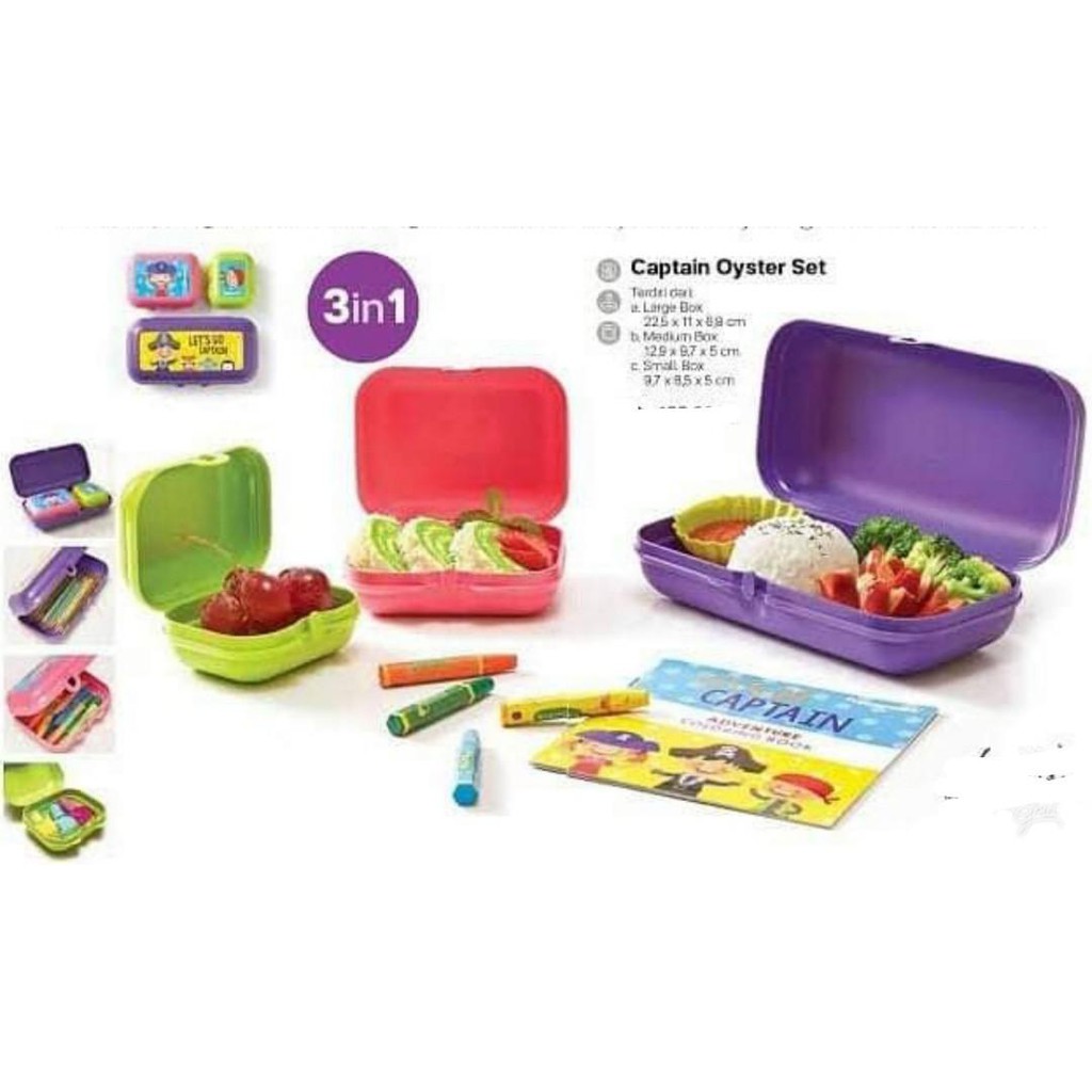 Tupperware Oyster Case small-Box, set of 1