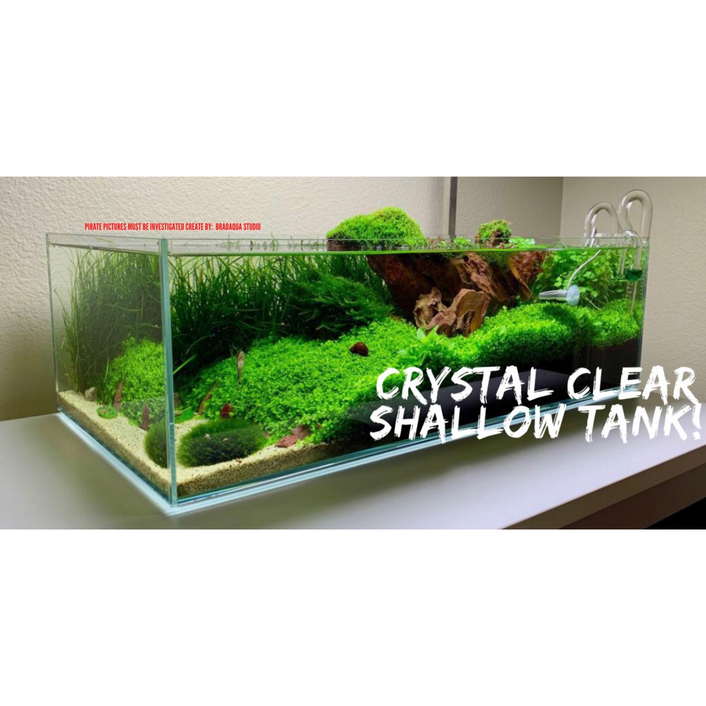 Shallow fish outlet tank