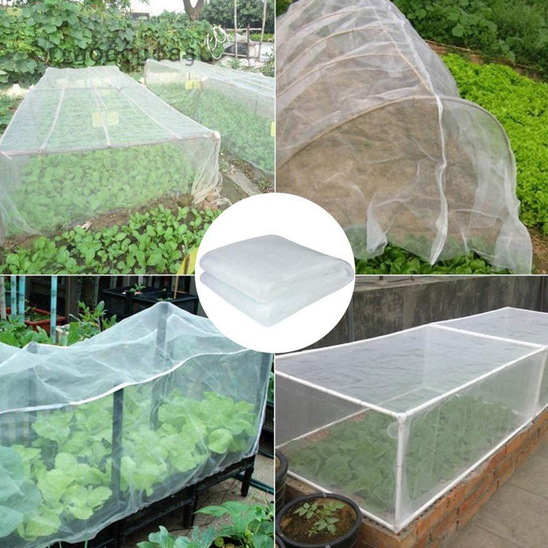 Vegetable netting store