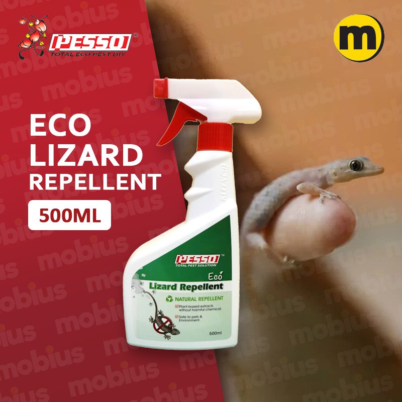 Lizard killer best sale home depot