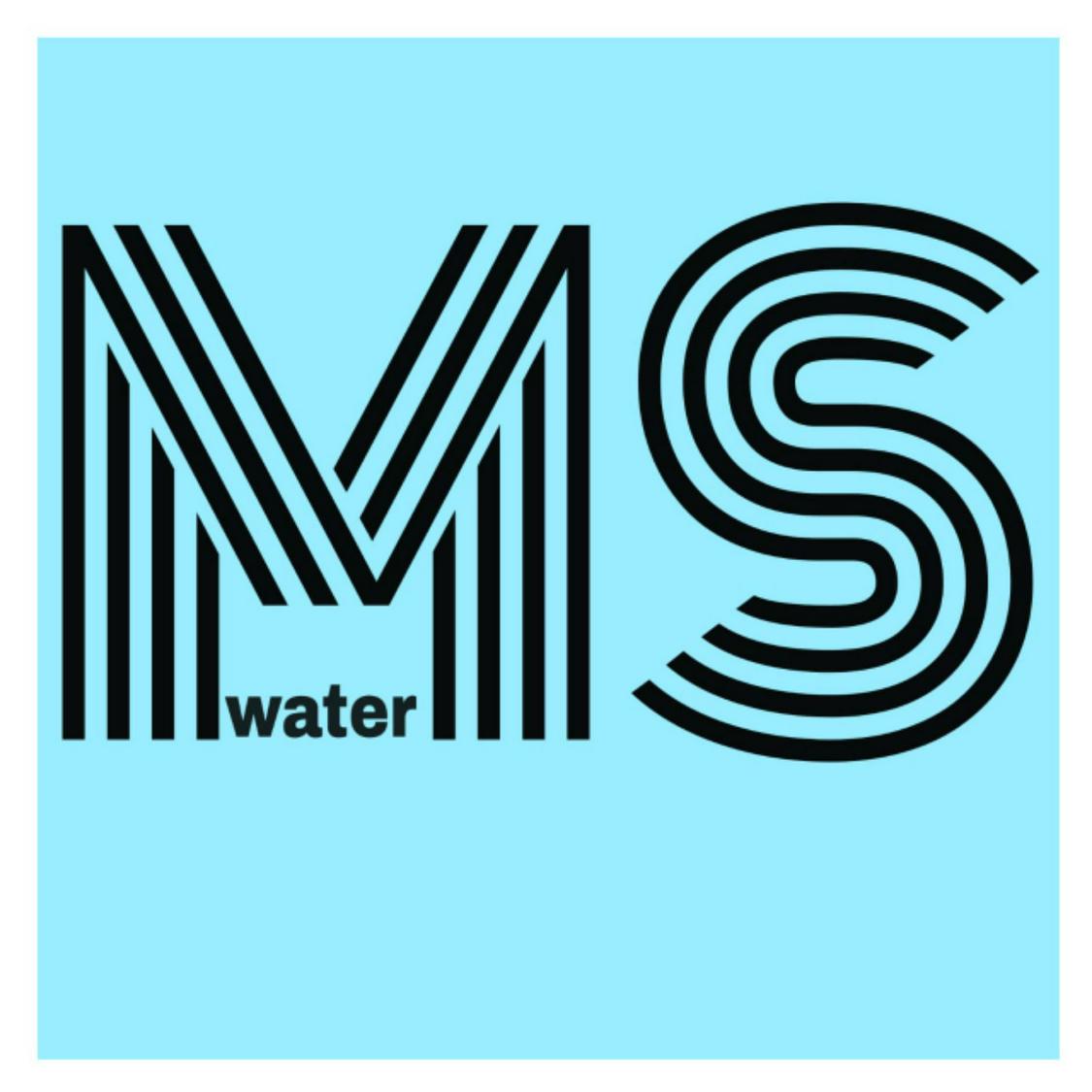 MS water, Online Shop Shopee Malaysia