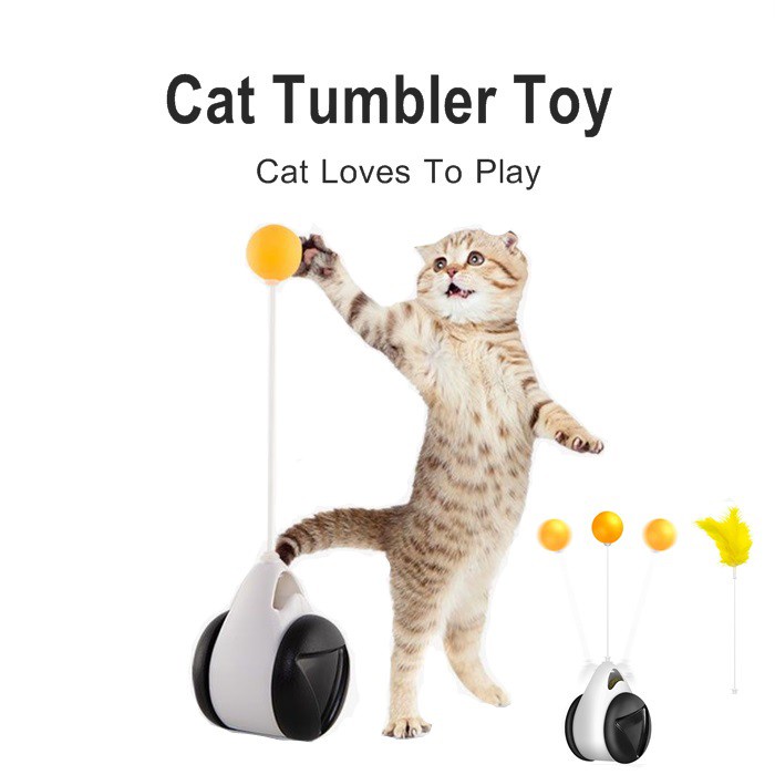 Cat Wand Toys For Indoor Cats Cat Teaser Fish Toy With And Wheel