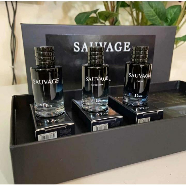 Dior 2024 sauvage fragrancex