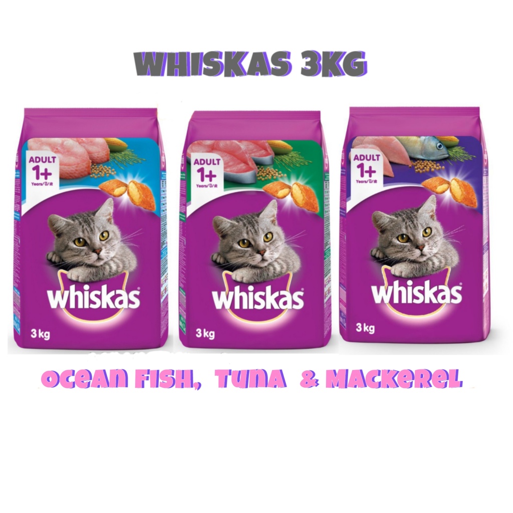 Whiskas kitten hot sale food 3kg