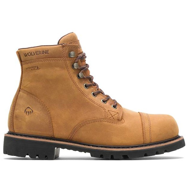 Timberland journeyman 2024