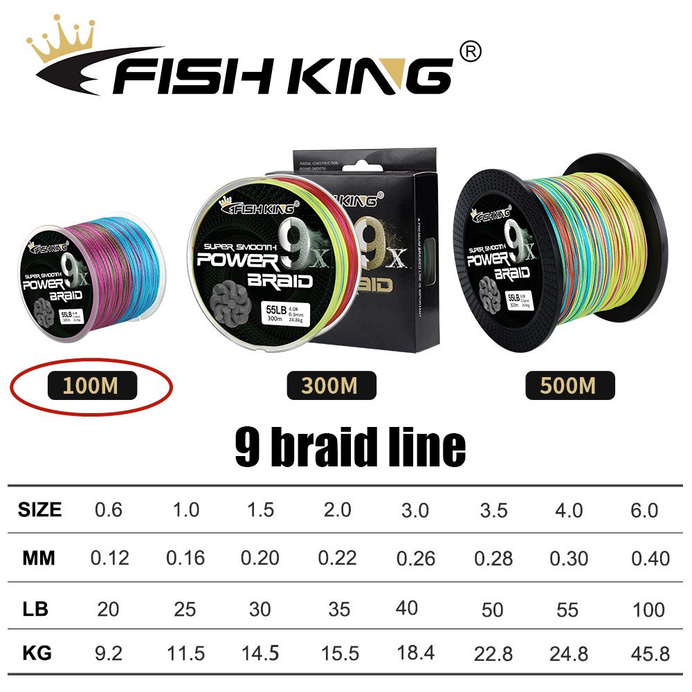 Fishing King 100M 9X Strands Braided Fishing Line Multifilament Pe