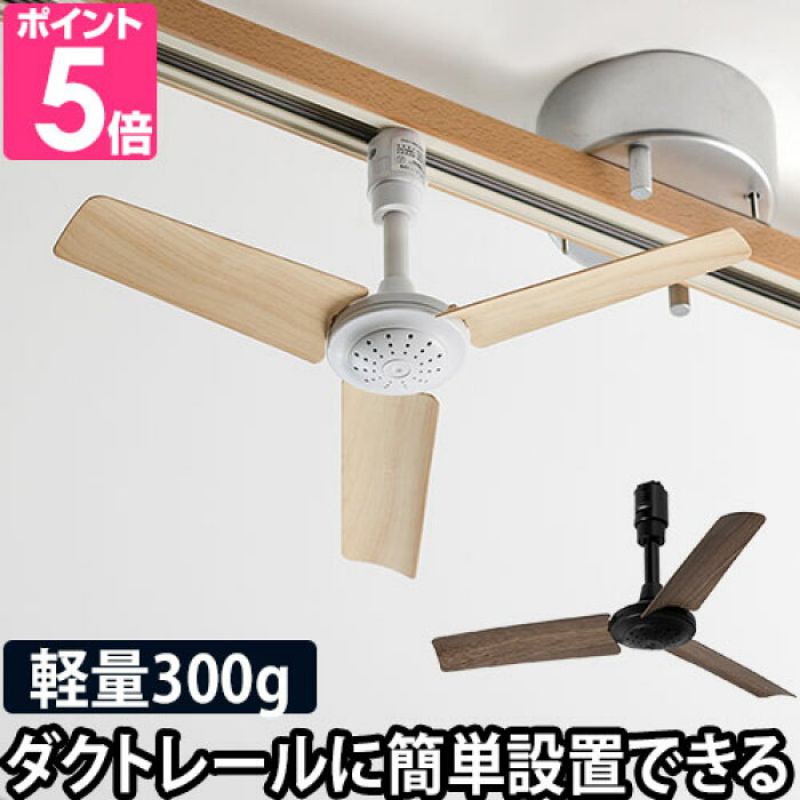 Ceiling fan with store track lighting