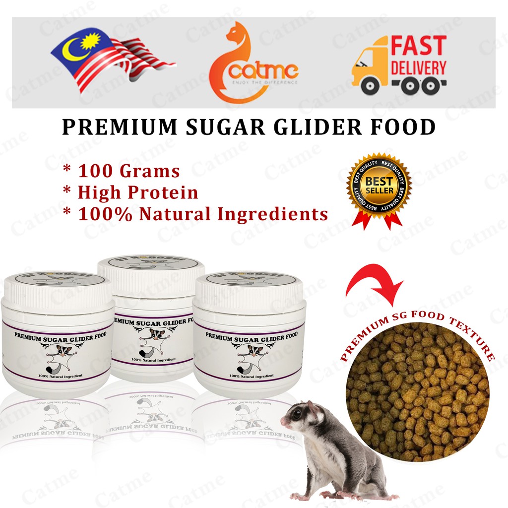 Best sugar glider outlet food