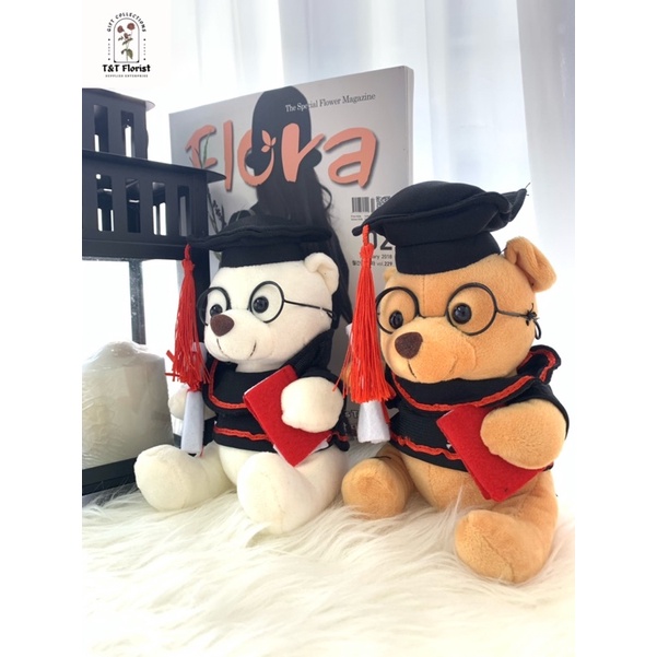 Graduation teddy deals bear 2018