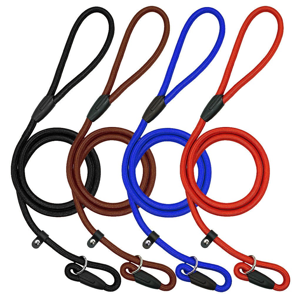 Training dog clearance leash