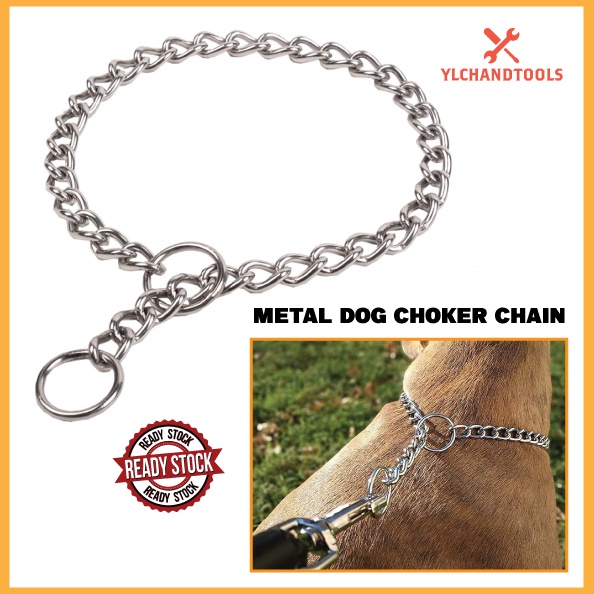 Metal choker collar sales dog