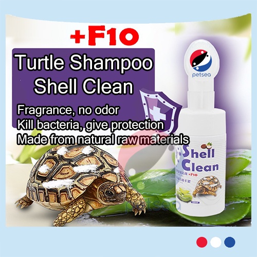 Turtle Shell Care