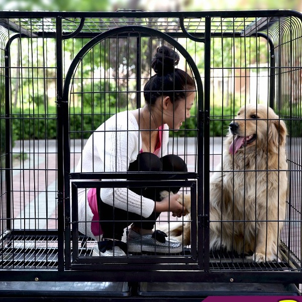 Target dog clearance cage