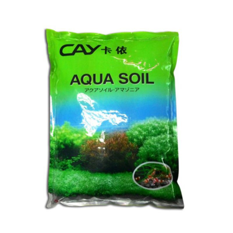 Cay 2025 aqua soil