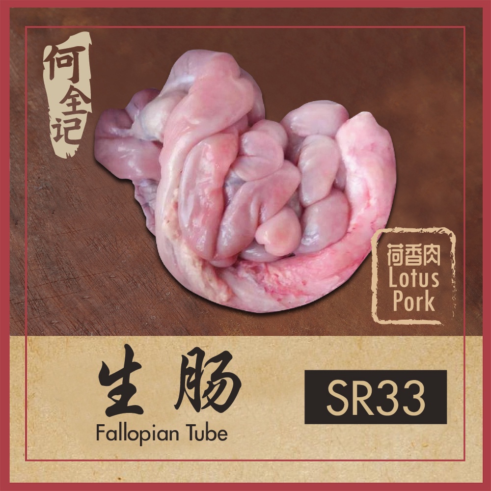 生肠Fallopian Tube 500g | Shopee Malaysia