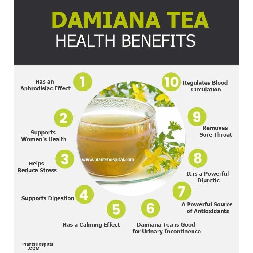 Damiana Leaf Herbal Tea For Anxiety Stress PMS Depression