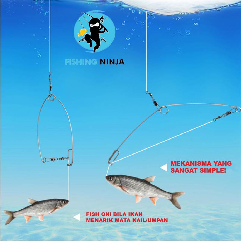 NINJA - 6'0ft Ajiking Master Ultra Light/Light/Medium Action Spinning  Fishing Rod MURAH! READY STOCK! SAME DAY SHIPPING!