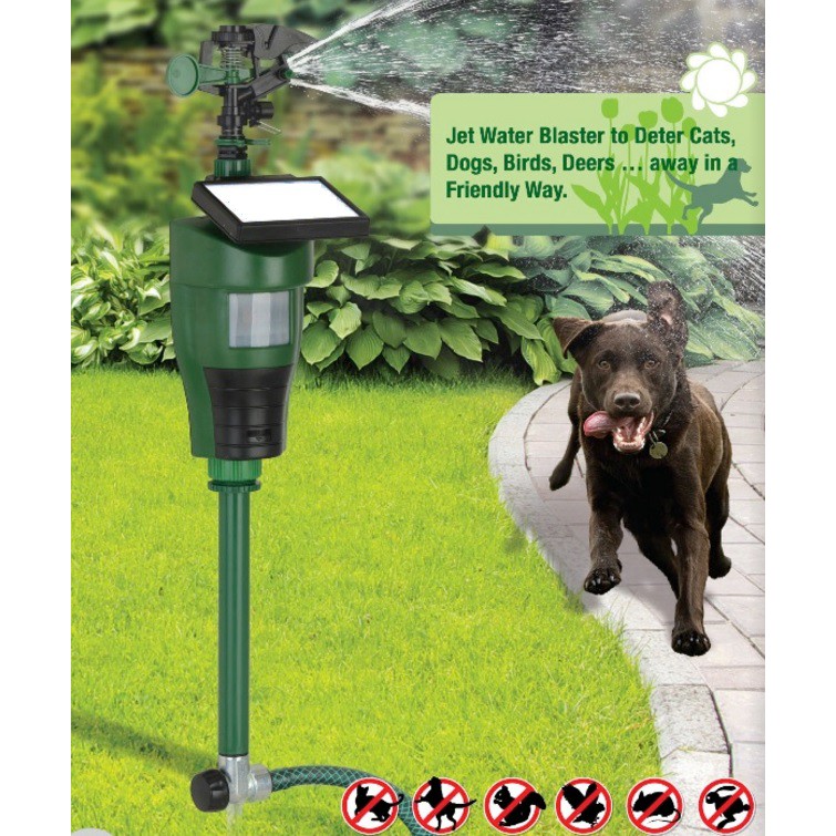 Motion activated hotsell sprayer for cats