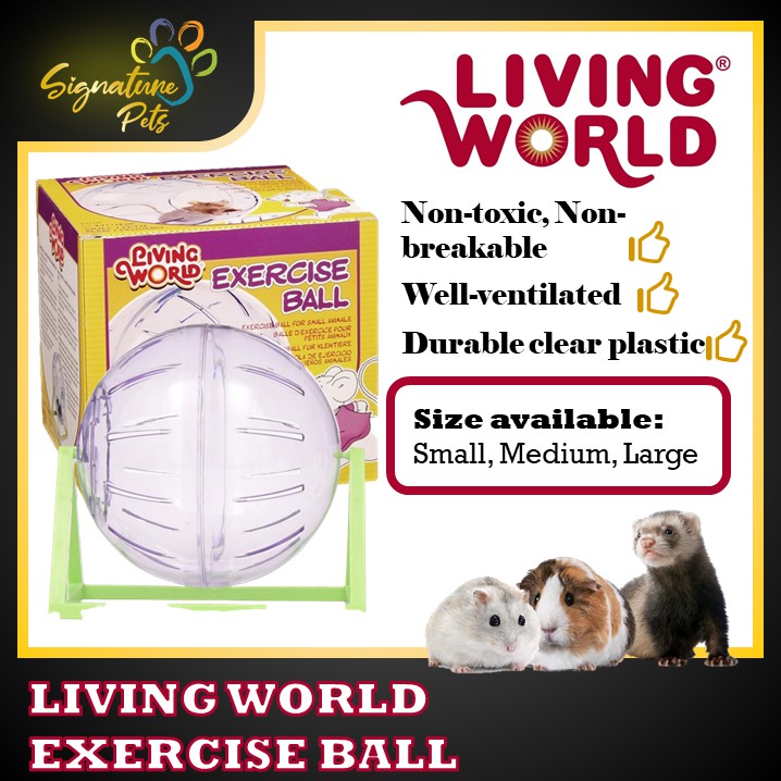 Ferret best sale exercise ball