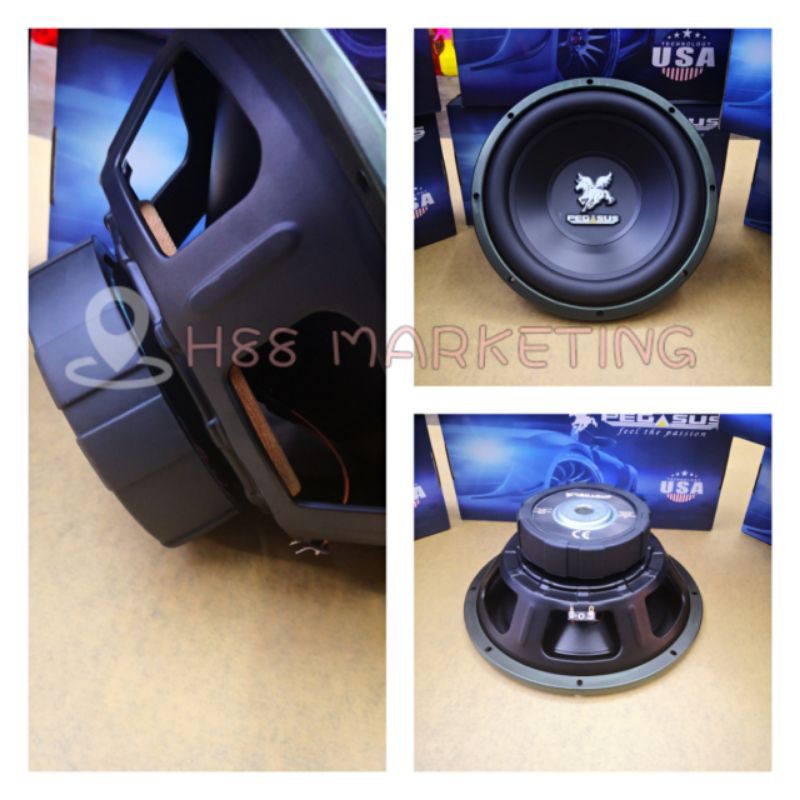 Speaker pegasus best sale 12 inch