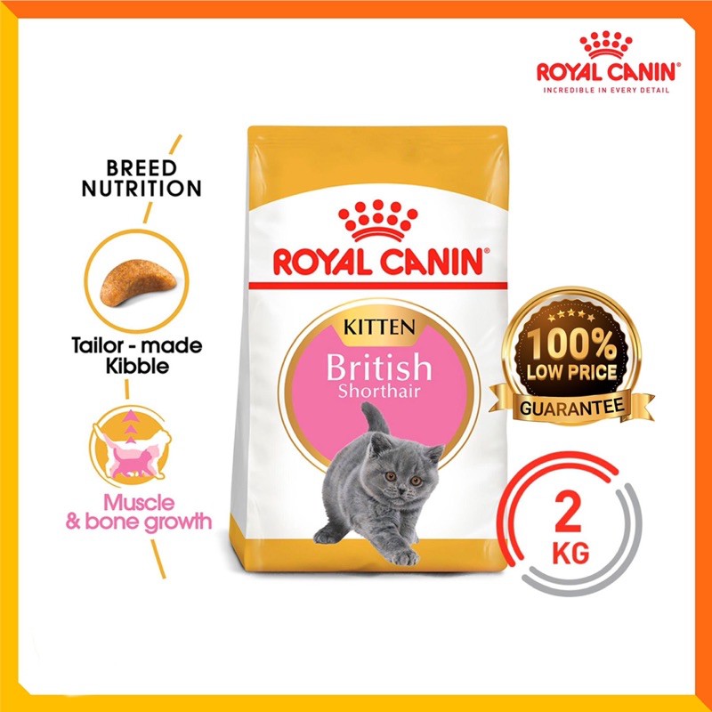 Royal canin kitten british cheap shorthair