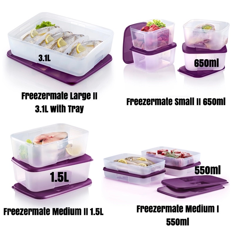 Tupperware tupperware set of 2 small freezer mate containers 650 ml  capacity by tupperware