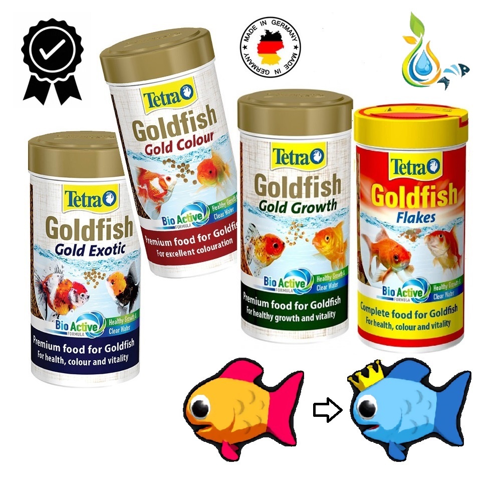 Tetra Goldfish Gold Color Growth Exotic Japan Fish Food Fish Tank