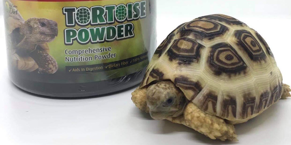 TETRA REPTO MIN 55G/ Premium Aquatic Turtle Food/高级营养水龟粮