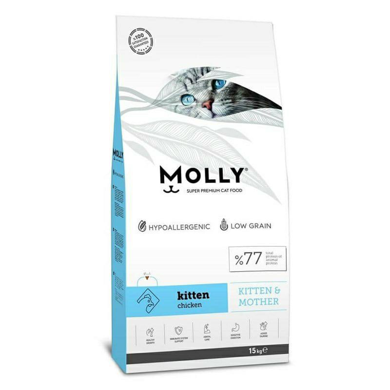 Molly 2025 kitten food