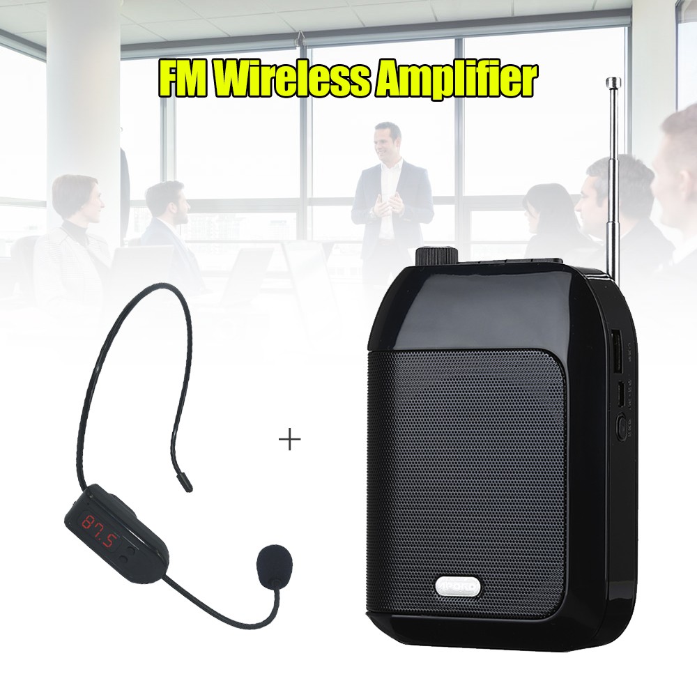 Wireless microphone best sale with speaker