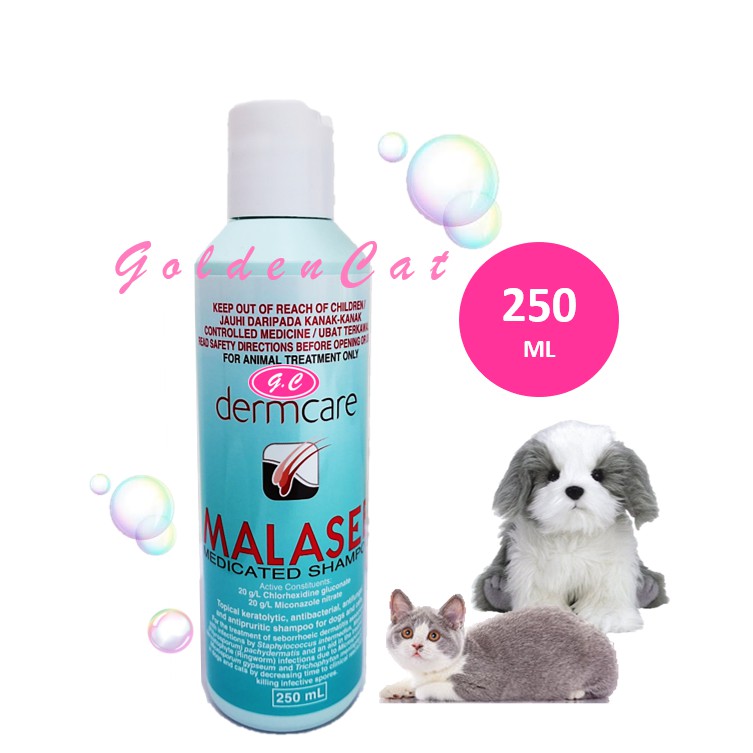 Pharmaseb shampoo 2024 for dogs