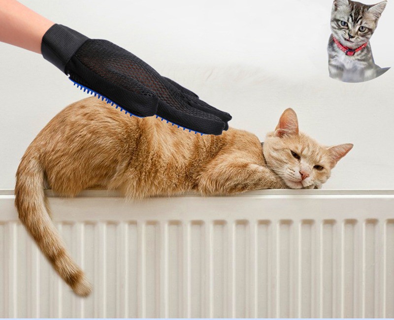 cat toys mall, Online Shop | Shopee Malaysia
