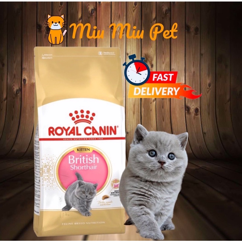 Royal canin british outlet shorthair kitten 2kg