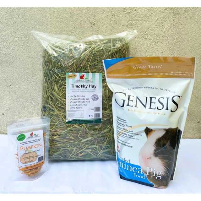 Genesis guinea shop pig food