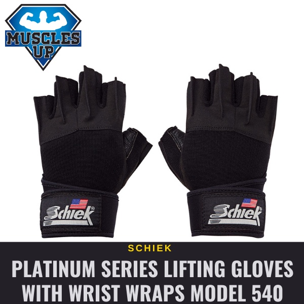 Schiek gloves hot sale 540