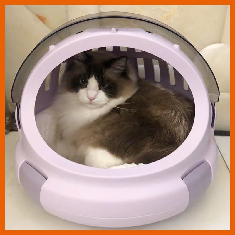 Online Pet Store _ Malaysia, Online Shop Shopee Malaysia