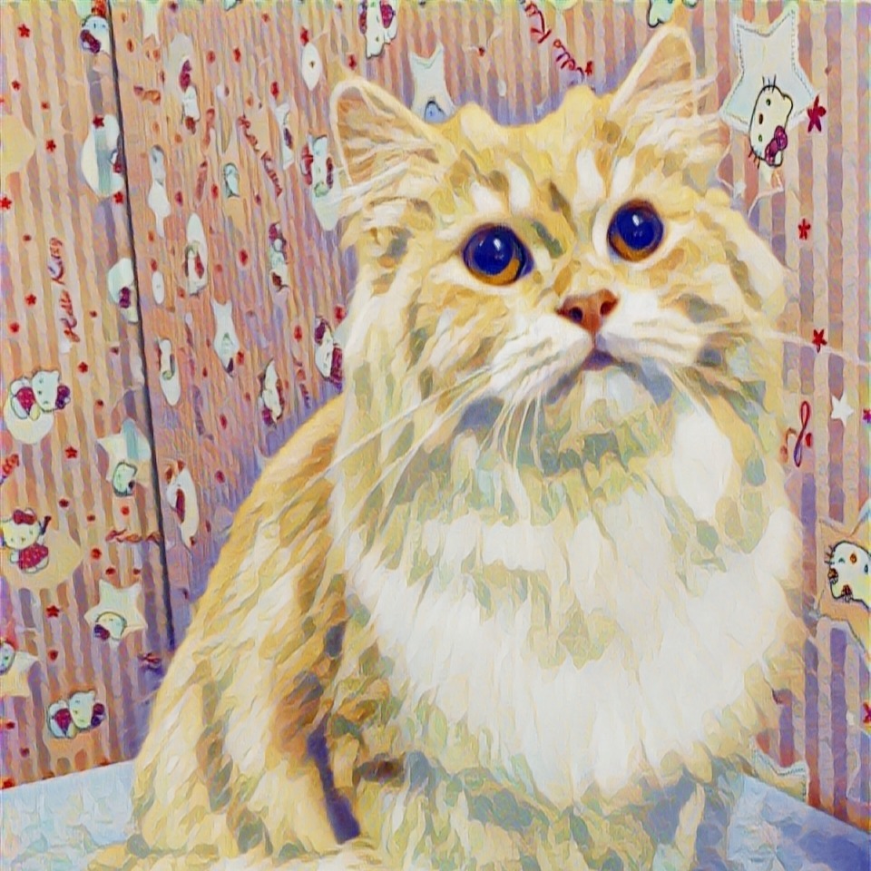 Online Shop Shopee Malaysia