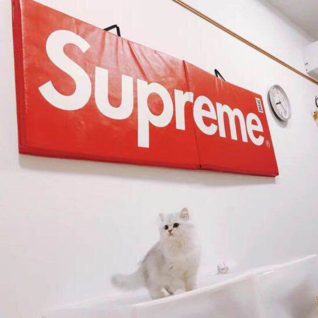 Supreme exercise cheap mat