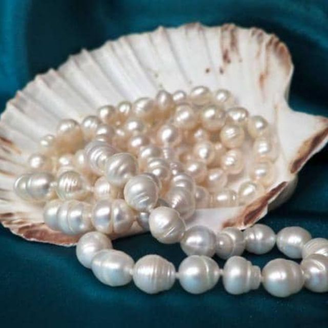 Pearl Borneo Sabah, Online Shop | Shopee Malaysia