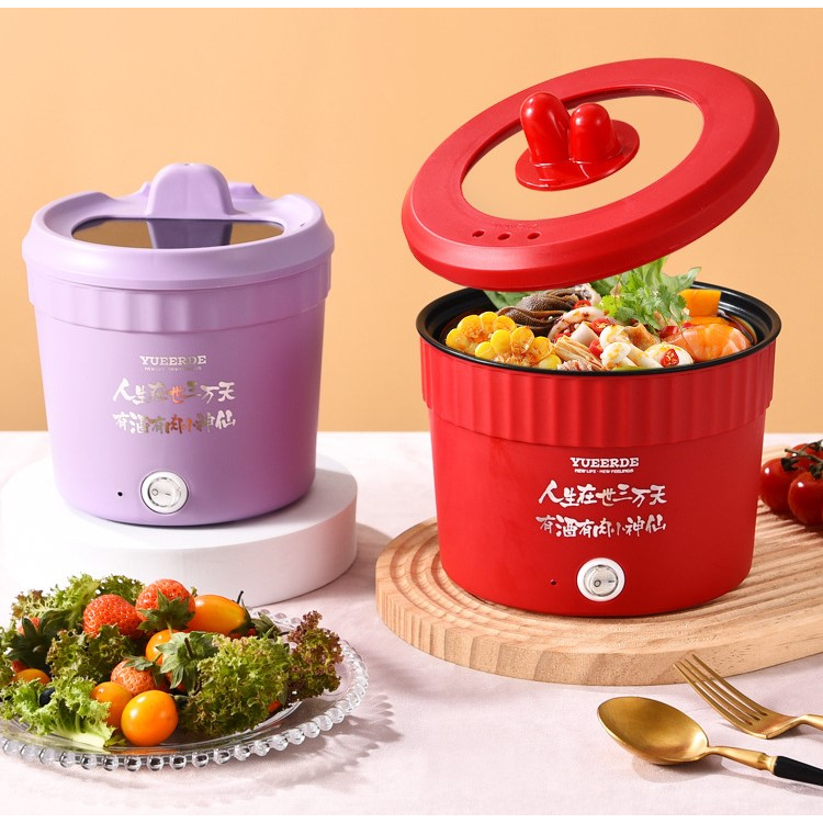 Portable electric best sale cooking pot