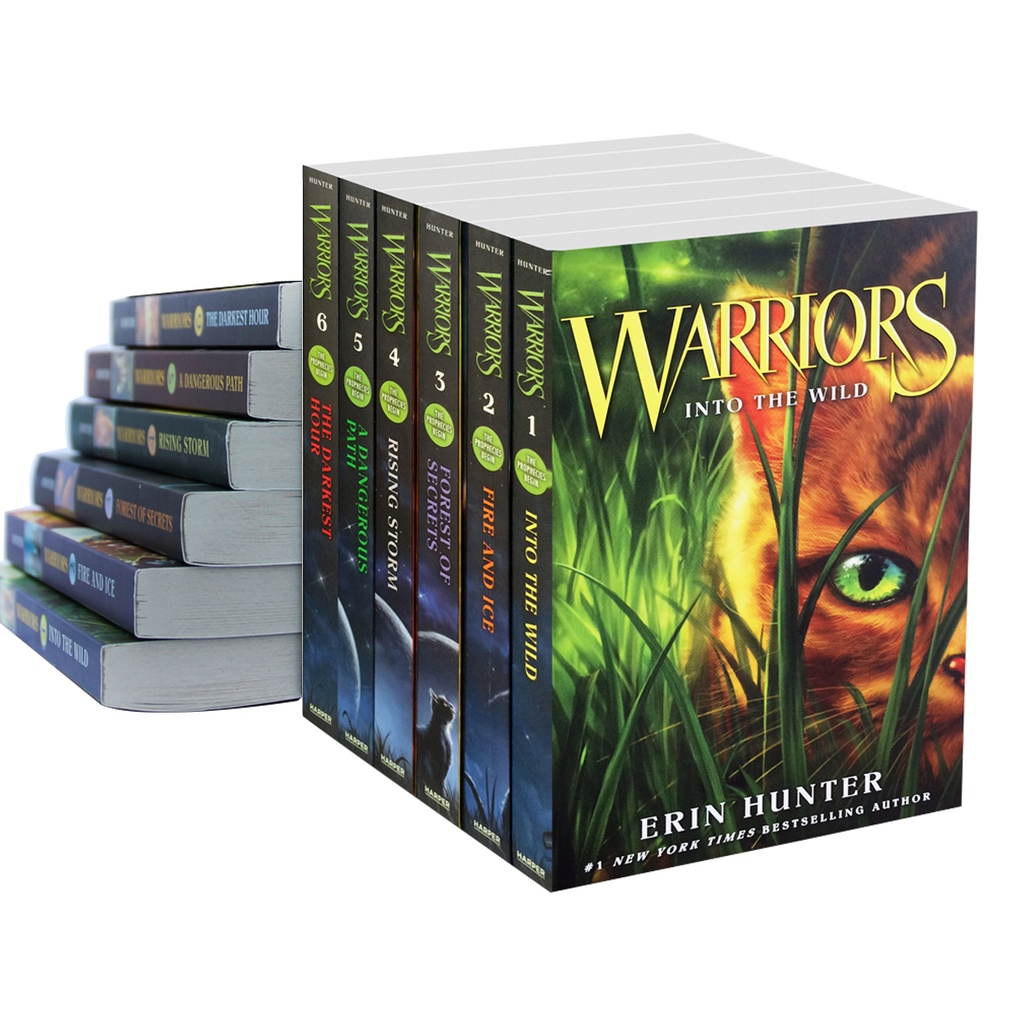 Witch Warrior Complete Series Boxed Set See more