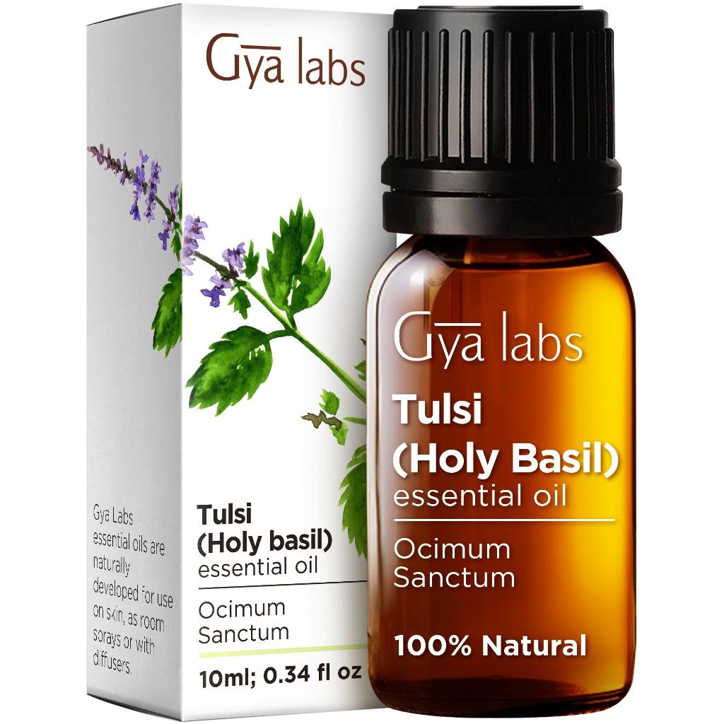 Gya Labs Holy Basil Tulsi Essential Oil for Aromatherapy 100