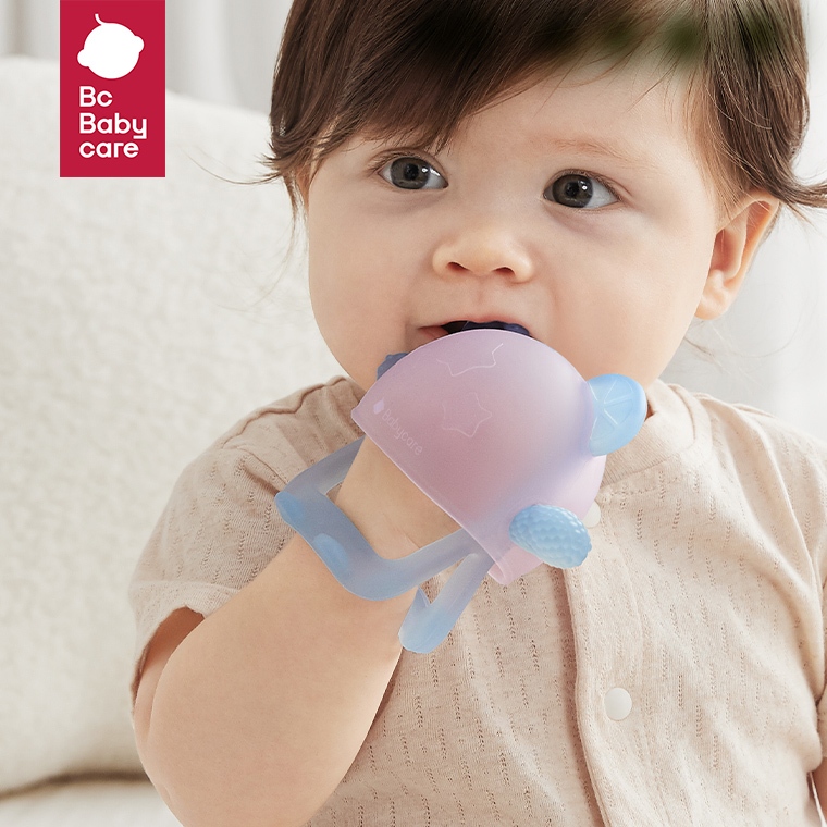 Food Feeder Pacifiers- Bc Babycare