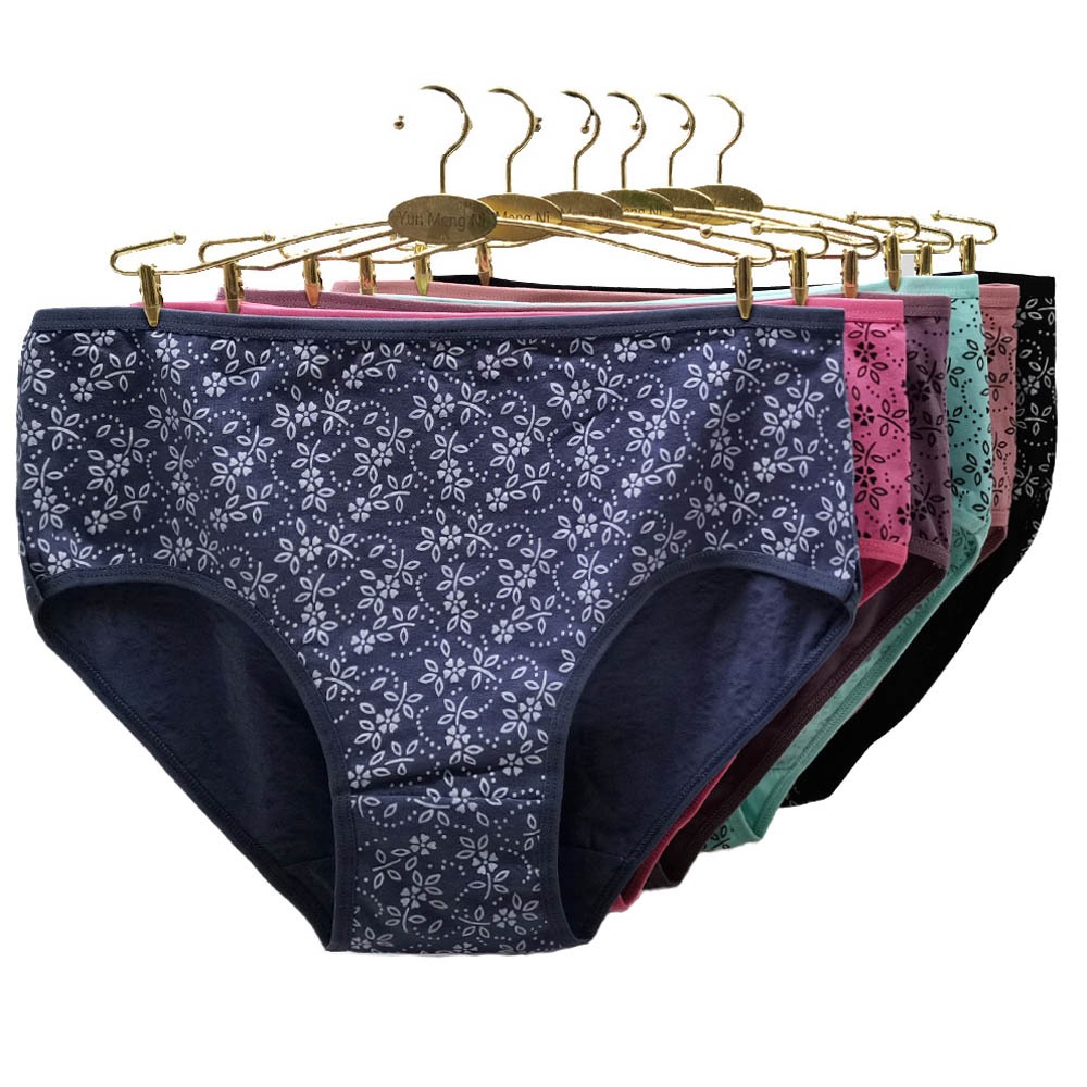 6 Pieces/lot Women Panties Cotton Underwear Plus Size Briefs