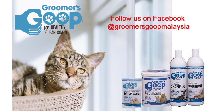 Goop on sale cat shampoo
